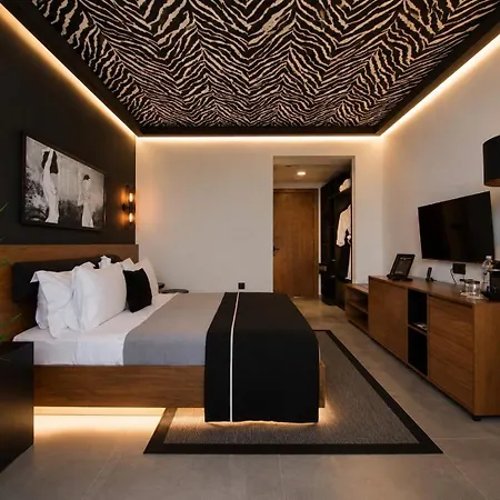 The Local House 5* アラカティ